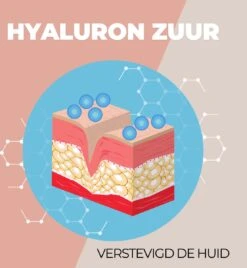 Vitamine C Serum - 60 ML - Vitamine C Serum Gezicht - Serum Gezichtsverzorging - Collageen - Anti Rimpel - Anti Acne - Tegen Pigmentvlekken -Gillette Winkel 1106x1200 4