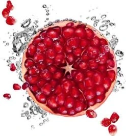 Garnier SkinActive - Hydra Bomb Sheet Masker Met Granaatappel - Gezichtsmasker - 20 Stuks - Voordeelverpakking 35 Garnier SkinActive - Hydra Bomb Sheet Masker Met Granaatappel - Gezichtsmasker - 20 Stuks - Voordeelverpakking -Gillette Winkel 1110x1200 2