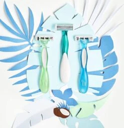 BIC Soleil Bella Wegwerp Scheermesjes Voor Dames - Bundel Van 2 Verpakkingen Van 3 Stuks -Gillette Winkel 1165x1200 9