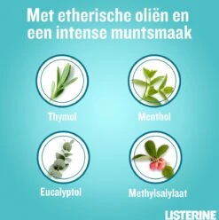 Listerine Cool Mint Mondwater, Mondspoeling Met Intens Frisse Muntsmaak, Bestrijdt Schadelijke Bacteriën Voor Gezond Tandvlees, 8 X 95 Ml 17 Listerine Cool Mint Mondwater, Mondspoeling Met Intens Frisse Muntsmaak, Bestrijdt Schadelijke Bacteriën Voor Gezond Tandvlees, 8 X 95 Ml -Gillette Winkel 1194x1200 1