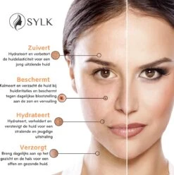 Sylk Hyaluronzuur Serum Met Vitamine C & E | Gezichtsmasker | Anti Aging | Anti Rimpel | Gezicht Serum | Gezichtsverzorging | 60 Ml 9 Sylk Hyaluronzuur Serum Met Vitamine C & E | Gezichtsmasker | Anti Aging | Anti Rimpel | Gezicht Serum | Gezichtsverzorging | 60 Ml -Gillette Winkel 1194x1200 13