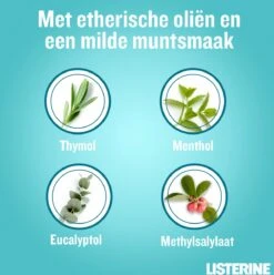 LISTERINE Cool Mint Milde Smaak, Mondspoeling Zonder Alcohol Met Etherische Oliën, Helpt Bacteriën Te Verwijderen En Zorgt Voor Een Langdurig Frisse Adem, 3 X 500 Ml 18 LISTERINE Cool Mint Milde Smaak, Mondspoeling Zonder Alcohol Met Etherische Oliën, Helpt Bacteriën Te Verwijderen En Zorgt Voor Een Langdurig Frisse Adem, 3 X 500 Ml -Gillette Winkel 1194x1200 3