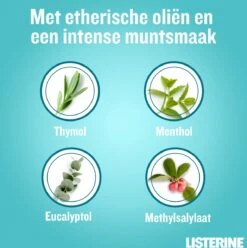 LISTERINE® Fresh Mint, Mondspoeling Met Essentiële Oliën Voor Een Langdurig Frisse Adem, 3x600ml -Gillette Winkel 1196x1200 7