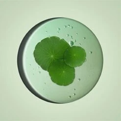 Biotherm Aquasource Dry Skin Gezichtscrème - 50 Ml -Gillette Winkel 1197x1200 16