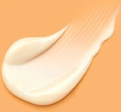 Paula's Choice C5 SUPER BOOST Nachtcrème - Hydraterende Crème Met Vitamine C - Alle Huidtypen - 50 Ml -Gillette Winkel 1200x1108 6