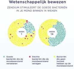 Zendium Classic Tandpasta - 12 X 75 Ml - Voordeelverpakking -Gillette Winkel 1200x1122 1