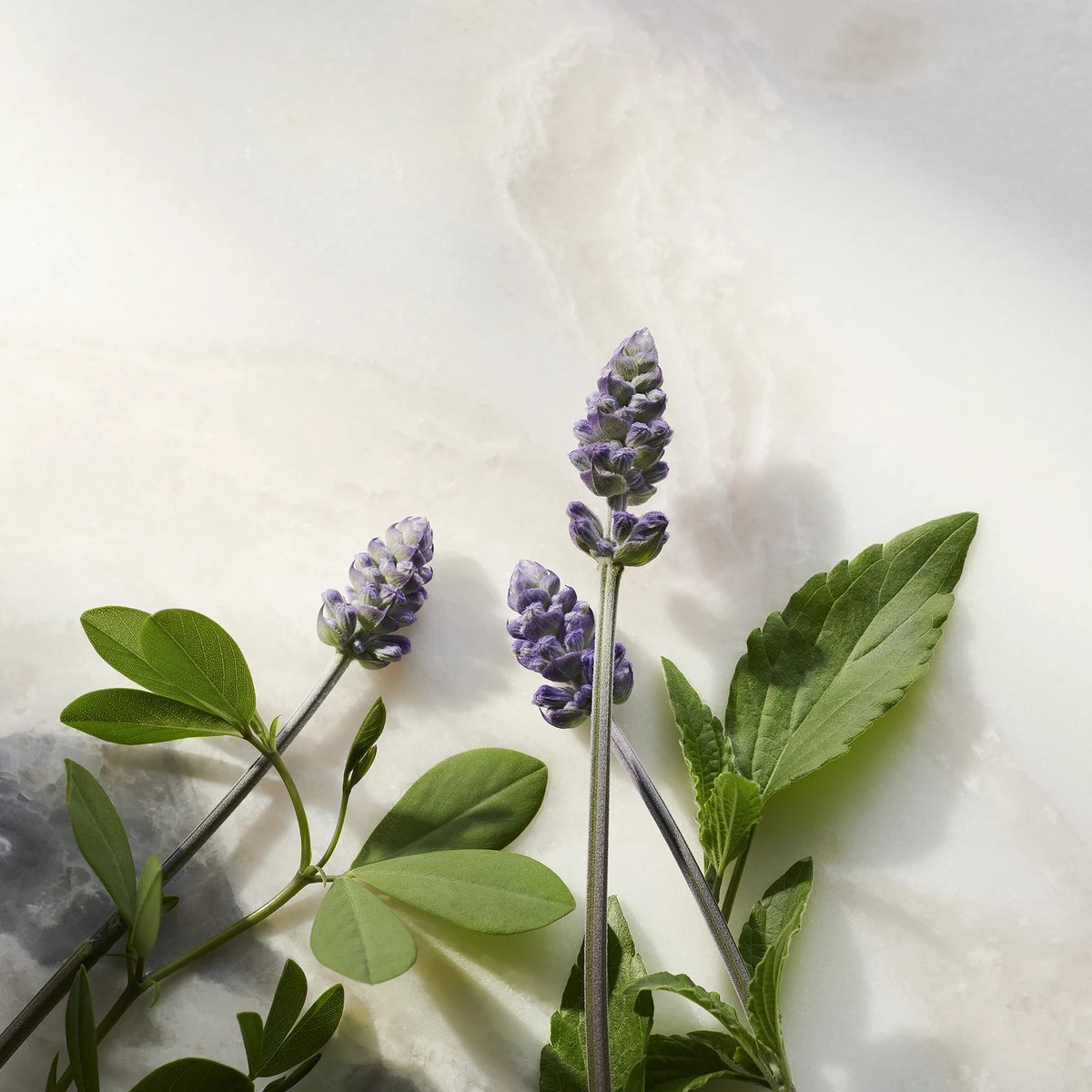 RITUALS The Ritual Of Namaste Glow Anti-Ageing Day Cream Refill - 50 Ml 7 RITUALS The Ritual Of Namaste Glow Anti-Ageing Day Cream Refill - 50 Ml - Afbeelding 5