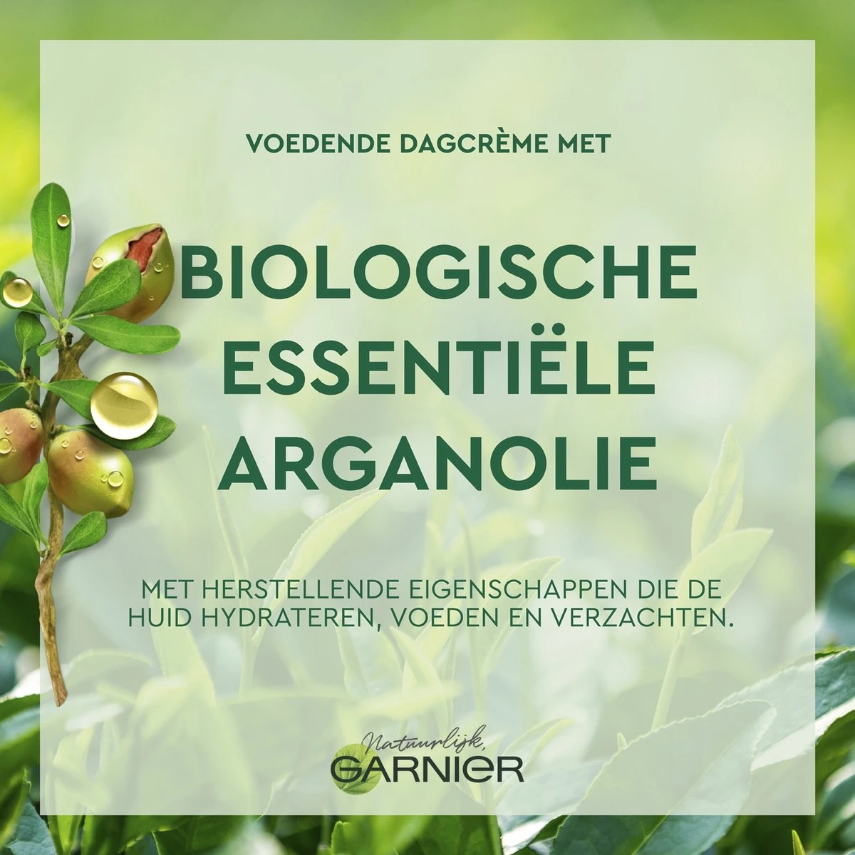 Garnier Bio Dagcrème -50 Ml - Droge En Gevoelige Huid - Rijke Argan 11 Garnier Bio Dagcrème -50 Ml - Droge En Gevoelige Huid - Rijke Argan - Afbeelding 9
