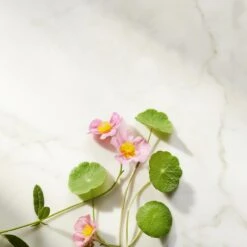 RITUALS The Ritual Of Namaste Ageless Firming Day Cream Refill - 50 Ml -Gillette Winkel 1200x1200 1169