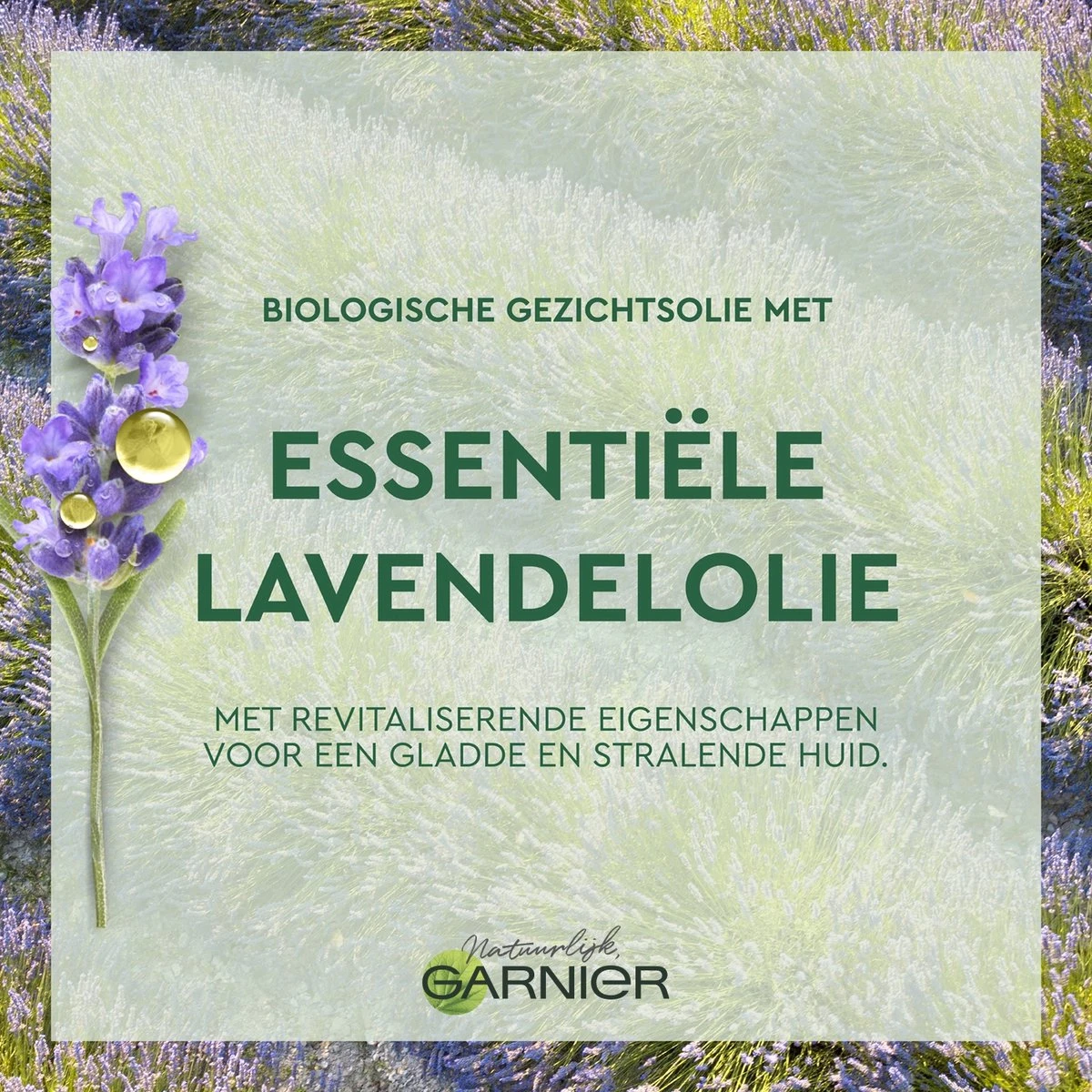 Garnier Bio Anti-Age Lavendel Gezichtsolie Serum - 30 Ml - Alle Huidtypes 12 Garnier Bio Anti-Age Lavendel Gezichtsolie Serum - 30 Ml - Alle Huidtypes - Afbeelding 10