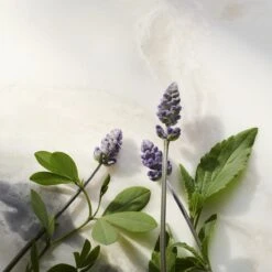 RITUALS The Ritual Of Namaste Glow Anti-Ageing Serum Refill - 30 Ml -Gillette Winkel 1200x1200 1291