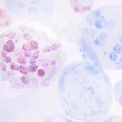 NIVEA CELLular Anti-Age - 15 Ml - Oogcrème -Gillette Winkel 1200x1200 1356