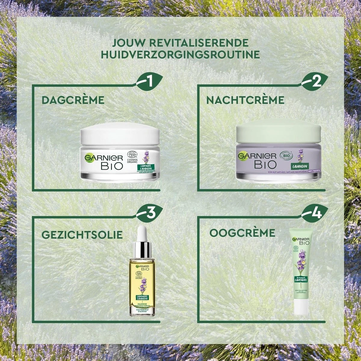 Garnier Bio Anti-age Oogcrème - 15 Ml - Alle Huidtypes - Revitaliserende Lavendel 15 Garnier Bio Anti-age Oogcrème - 15 Ml - Alle Huidtypes - Revitaliserende Lavendel - Afbeelding 13