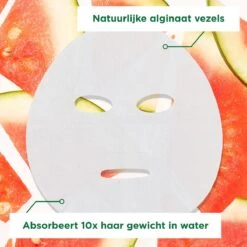 Garnier SkinActive Ampul Sheet Mask Met Watermeloen & Hyaluronzuur Gezichtsmasker - 5 Stuks -Gillette Winkel 1200x1200 1536