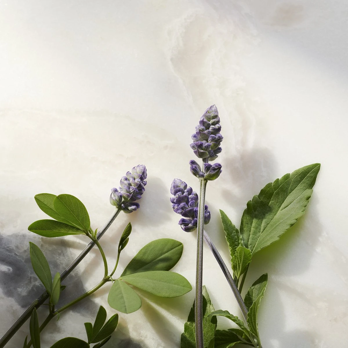 RITUALS The Ritual Of Namaste Glow Anti-Ageing Night Cream Refill - 50 Ml 7 RITUALS The Ritual Of Namaste Glow Anti-Ageing Night Cream Refill - 50 Ml - Afbeelding 5