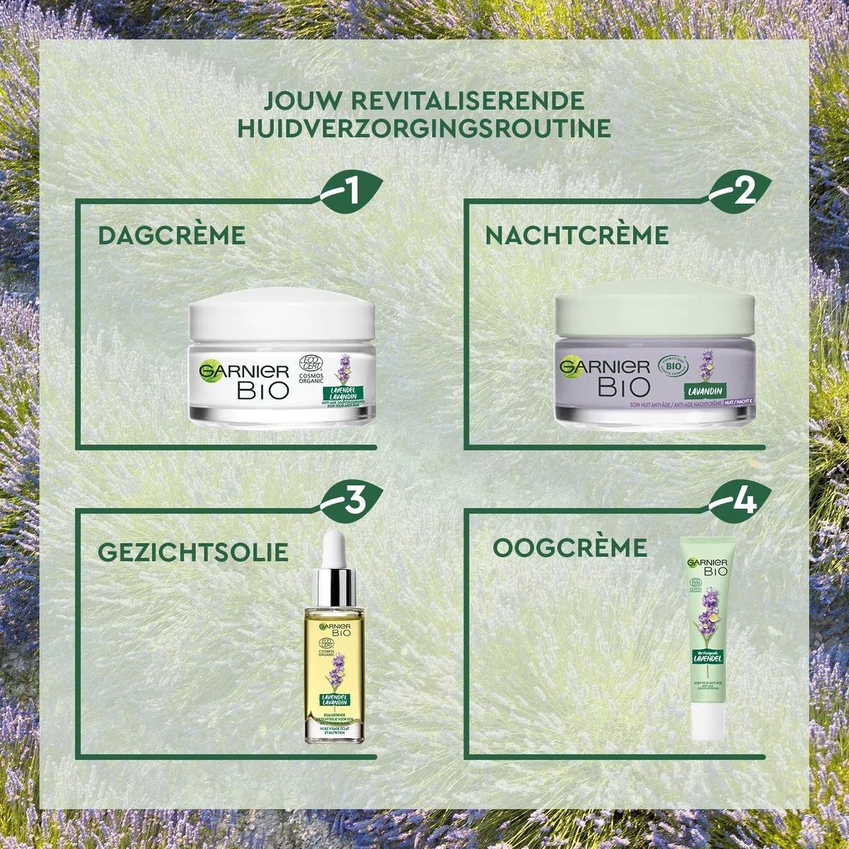 Garnier Skinactive Face Anti-Age Lavendel Nachtcrème - 50 Ml - Alle Huidtypes 8 Garnier Skinactive Face Anti-Age Lavendel Nachtcrème - 50 Ml - Alle Huidtypes - Afbeelding 6