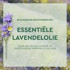 Garnier Skinactive Face Anti-Age Lavendel Nachtcrème - 50 Ml - Alle Huidtypes 20 Garnier Skinactive Face Anti-Age Lavendel Nachtcrème - 50 Ml - Alle Huidtypes -Gillette Winkel 1200x1200 1631