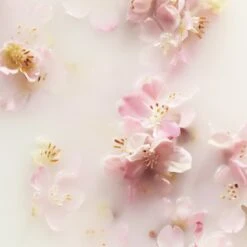 RITUALS The Ritual Of Sakura Recovery Hand Balm - 70 Ml -Gillette Winkel 1200x1200 1755