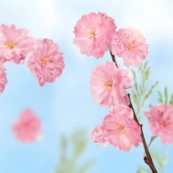 Kneipp Favourite Time - Handcrème -Gillette Winkel 1200x1200 1844