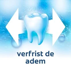 Colgate® Colgate Fresh Gel Tandpasta 6 X 75ml - Voordeelverpakking 12 Colgate® Colgate Fresh Gel Tandpasta 6 X 75ml - Voordeelverpakking -Gillette Winkel 1200x1200 230