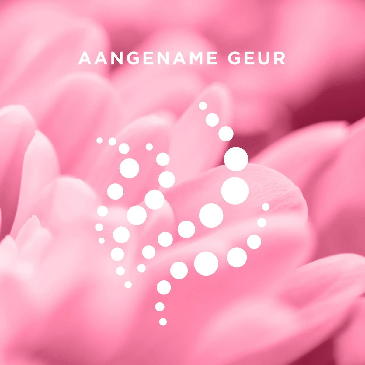 Veet - Ontharingsstrips - Bikinilijn & Oksels - Gevoelige Huid - 16 Stuks 10 Veet - Ontharingsstrips - Bikinilijn & Oksels - Gevoelige Huid - 16 Stuks - Afbeelding 8