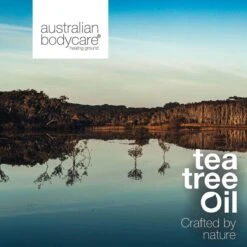 Australian Bodycare Shave Gel 200 Ml - Transparante, Niet-schuimende Scheergel Met Tea Tree Olie Voor Mannen Voor Nauwkeurig En Comfortabel Scheren - Voorkomt Een Branderig Gevoel & Rode Vlekken - Vermindert Ingegroeide Haren -Gillette Winkel 1200x1200 2799