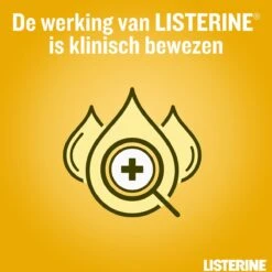 LISTERINE Fresh Ginger & Lime Mondwater, Met Gember- En Limoenextract, Mondspoeling Zonder Alcohol, Voor Een Frisse Adem, 3 X 500 Ml -Gillette Winkel 1200x1200 624