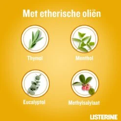 LISTERINE Fresh Ginger & Lime Mondwater, Met Gember- En Limoenextract, Mondspoeling Zonder Alcohol, Voor Een Frisse Adem, 3 X 500 Ml -Gillette Winkel 1200x1200 625