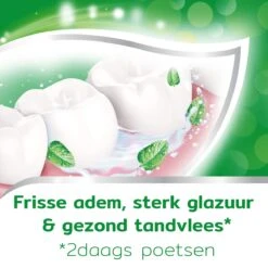 Aquafresh Anti Cariës Tandpasta Voor Gezonde Tanden, Voordeelverpakking 12- Pack, Recyclebare Plastic Tube En Dop 16 Aquafresh Anti Cariës Tandpasta Voor Gezonde Tanden, Voordeelverpakking 12- Pack, Recyclebare Plastic Tube En Dop -Gillette Winkel 1200x1200 773