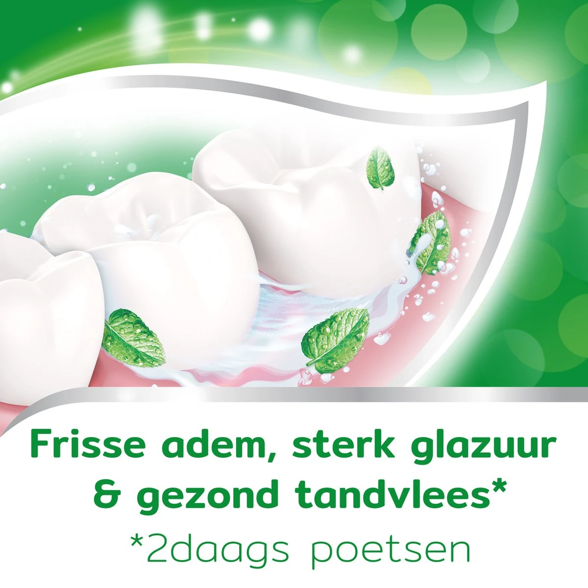 Aquafresh Anti Cariës Tandpasta Voor Gezonde Tanden, Voordeelverpakking 12- Pack, Recyclebare Plastic Tube En Dop 5 Aquafresh Anti Cariës Tandpasta Voor Gezonde Tanden, Voordeelverpakking 12- Pack, Recyclebare Plastic Tube En Dop - Afbeelding 3