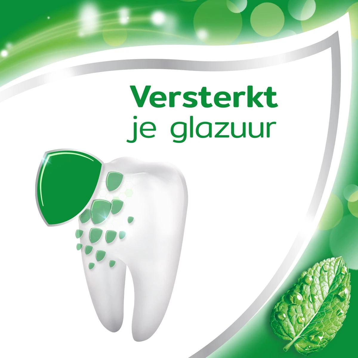 Aquafresh Anti Cariës Tandpasta Voor Gezonde Tanden, Voordeelverpakking 12- Pack, Recyclebare Plastic Tube En Dop 12 Aquafresh Anti Cariës Tandpasta Voor Gezonde Tanden, Voordeelverpakking 12- Pack, Recyclebare Plastic Tube En Dop - Afbeelding 10