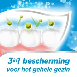 Aquafresh Freshmint 3in1 Tandpasta Voor Een Frisse Adem Voordeelverpakking 12x75ml, Recyclebare Plastic Tube En Dop -Gillette Winkel 1200x1200 807