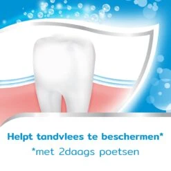 Aquafresh Freshmint 3in1 Tandpasta Voor Een Frisse Adem Voordeelverpakking 12x75ml, Recyclebare Plastic Tube En Dop -Gillette Winkel 1200x1200 808