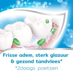 Aquafresh Freshmint 3in1 Tandpasta Voor Een Frisse Adem Voordeelverpakking 12x75ml, Recyclebare Plastic Tube En Dop -Gillette Winkel 1200x1200 809