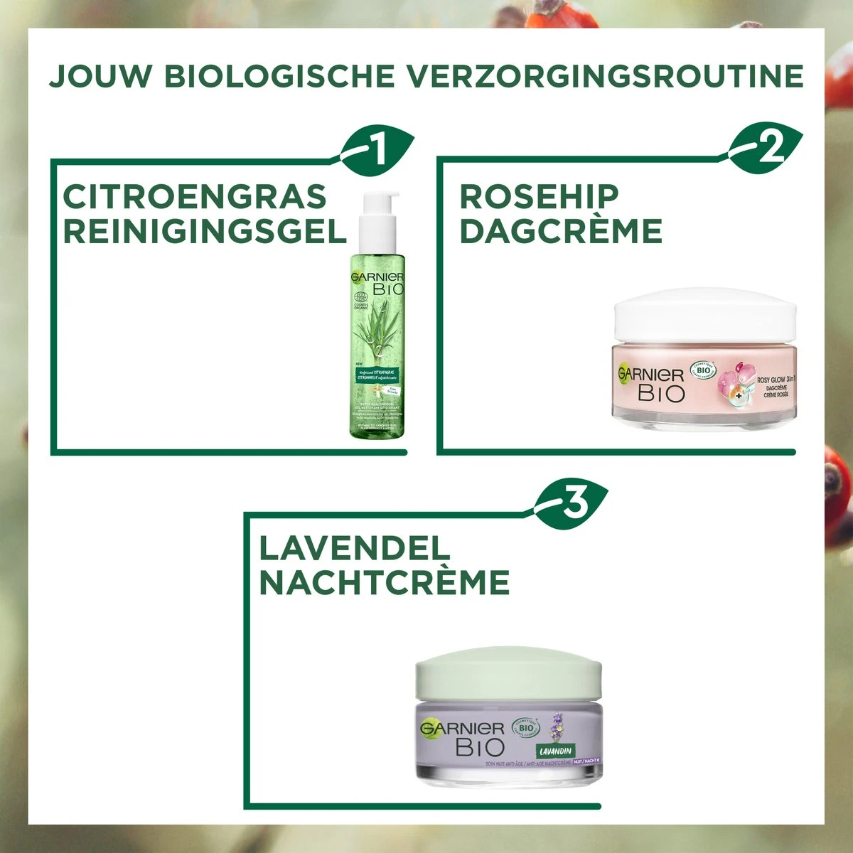 Garnier Bio Skin Active Rosy Glow 3in1 Dagcrème - 50ml 9 Garnier Bio Skin Active Rosy Glow 3in1 Dagcrème - 50ml - Afbeelding 7