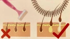 Epileerveer Kleur Lila - RVS - Epileer-veer - Gezichtshaar - Gezichtshaar Verwijderen 8 Epileerveer Kleur Lila - RVS - Epileer-veer - Gezichtshaar - Gezichtshaar Verwijderen -Gillette Winkel 1200x672 12