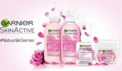Garnier Skinactive Face Botanische Dagcrème Met Rozenwater - 2 X 50ml - Voordeelverpakking -Gillette Winkel 1200x700