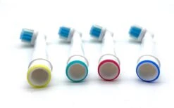 Merkloos Opzetborstels - Universele Geschikt Voor Braun / Oral-B - Set Van 24 Stuks -Gillette Winkel 1200x747