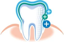 Elmex Tandpasta Sensitive 12 X 75ml - Voordeelverpakking -Gillette Winkel 1200x794