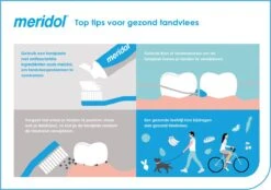 Meridol Mondwater Tandvlees - 2 X 400 Ml - Voordeelverpakking -Gillette Winkel 1200x845 5