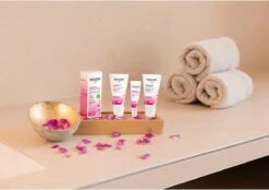 Weleda Wilde Rozen Vitaliserende Gezichtscrème Light -Gillette Winkel 1200x846