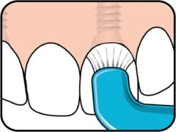 TePe Compact Tuft - Single Tufted Borstel - Tandenborstel -Gillette Winkel 1200x900 4