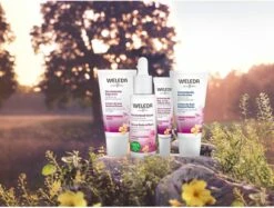 Weleda Evening Primrose Versterkende Dagcrème -Gillette Winkel 1200x909