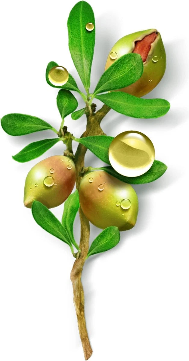 Garnier Bio Dagcrème -50 Ml - Droge En Gevoelige Huid - Rijke Argan 9 Garnier Bio Dagcrème -50 Ml - Droge En Gevoelige Huid - Rijke Argan - Afbeelding 7