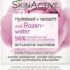 Garnier Skinactive Face Botanische Dagcrème Met Rozenwater - 2 X 50ml - Voordeelverpakking -Gillette Winkel 788x1200 1