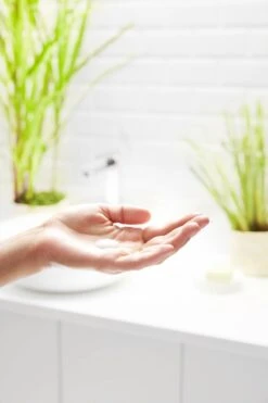 Garnier Bio Dagcrème - 50 Ml - Normale Tot Gemengde Huid - Verfrissend Citroengras -Gillette Winkel 800x1200 25