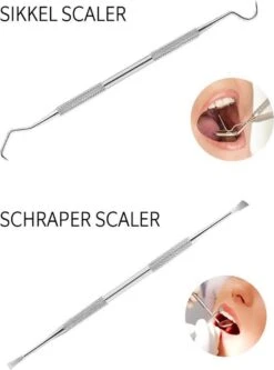 Newide Professionele Tandarts Set Met Luxe Etui – Tandsteen Verwijderaar – RVS Tandarts Setje – Tandenstokers – Tandartshaakje – Tand Verzorging Gereedschap Set – Tandplak Verwijderaar -Gillette Winkel 889x1200